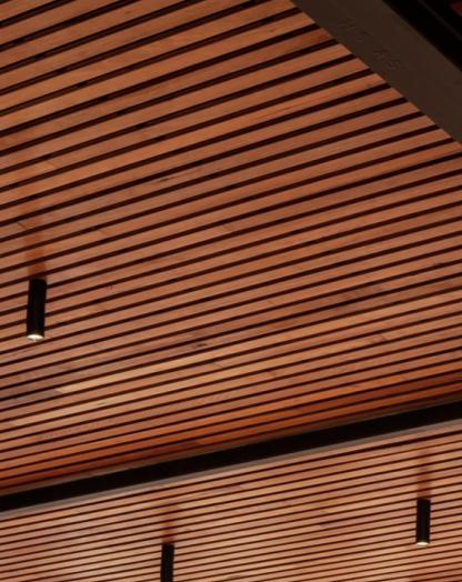 timber ceiling verity lane market